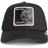 Καπέλο The Black Stalion