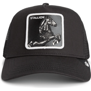 Καπέλο The Black Stalion